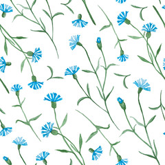 Cornflowers plant with blue flowers, watercolor painting - seamless pattern on white background
