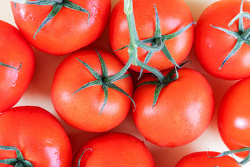 Bright ripe juicy tomatoes on a branch close up. The concept of vegetarianism, growing vegetables, healthy eating, food rich in vitamins. Summer concept. Fresh harvest.