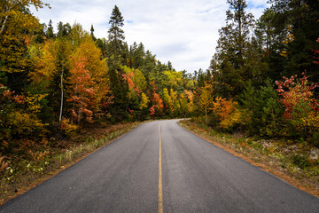 Fototapeta na wymiar Empty road in Quebec.