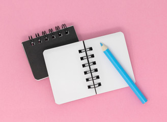 Two notebooks on a pink background with a blue pencil, top view.