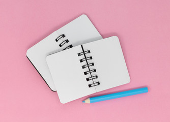 Two open blank notebooks and a blue pencil on a pink background.