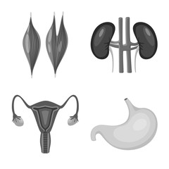 Vector illustration of internal and medical symbol. Collection of internal and health stock symbol for web.