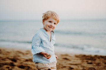 A portrait of small toddler boy standing on beach on summer holiday.