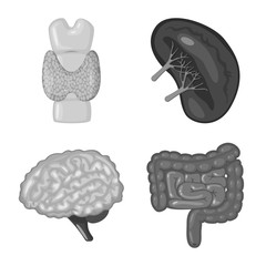 Isolated object of internal and medical logo. Collection of internal and health vector icon for stock.