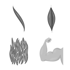 Vector design of human and body symbol. Set of human and cells stock vector illustration.