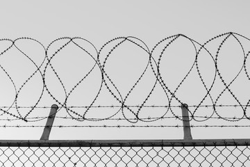 Tangled razor wire on top of a wire mesh perimeter fence, black and white