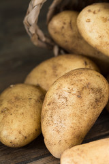 Raw potatoes in the basket. Rustic style