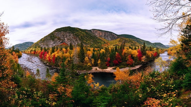 Empty road in the Regional Park of Hautes-Gorges of the Malbaie River at autumn time