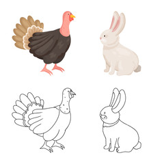 Vector illustration of breeding and kitchen  icon. Set of breeding and organic  stock symbol for web.