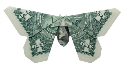 Money Origami BUTTERFLY Folded with Real One Dollar Bill Isolated on White Background