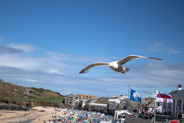 Low Flying Seagulls Over Porthmear Beach, St Ives, Cornwall 