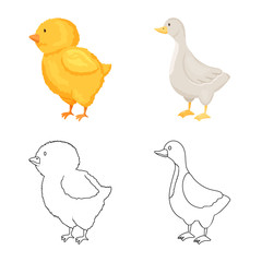 Vector design of breeding and kitchen  logo. Collection of breeding and organic  stock symbol for web.