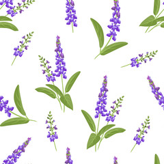 Wild purple flowers seamless pattern. Branches of flowering sage on a white background. Vector illustration of medical herbs in cartoon flat style.