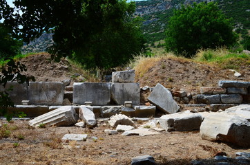 the ruins of the ancient town Ephesus in Turkey