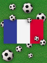 Football, soccer 2020. France, flag with football balls on a grass background. Championship in Europe. 3D illustration.