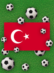 Football, soccer 2020. Turkey, flag with football balls on a grass background. Championship in Europe. 3D illustration.