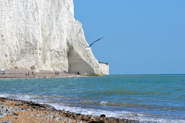 Seven Sisters Cuckmere Haven white cliffs