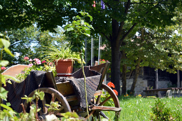 old wheelbarrow with flowers