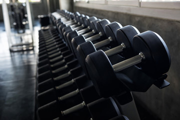 Obraz na płótnie Canvas steel dumbbell set in fitness gym