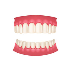 Obraz premium Realistic 3d Detailed Human Mouth with Teeth. Vector