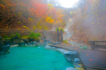 Japanese Hot Springs Onsen Natural Bath Surrounded by red-yellow leaves. In fall leaves fall in Japan.Waterfall among many foliage, In the fall leaves Leaf color change.