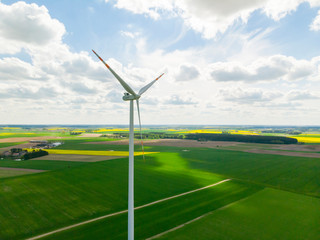 Wiatrak wiatraki elektrownia wiatrowa rzepak pole © Dariusz