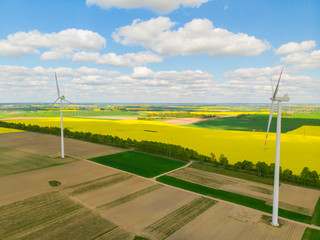 Wiatrak wiatraki elektrownia wiatrowa rzepak pole © Dariusz