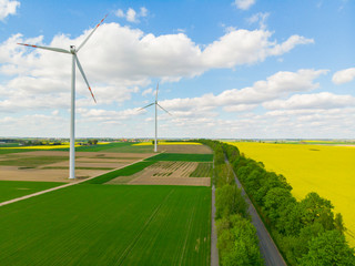 Wiatrak wiatraki elektrownia wiatrowa rzepak pole © Dariusz