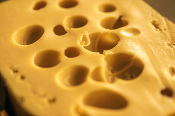 Dutch Hard Cheese Maasdam