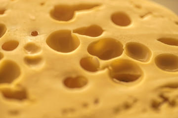 Dutch Hard Cheese Maasdam