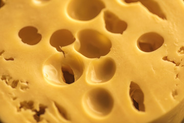 Dutch Hard Cheese Maasdam