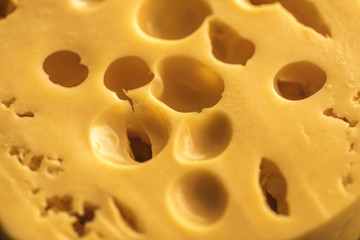 Dutch Hard Cheese Maasdam