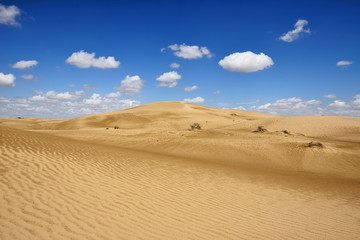 Fototapeta na wymiar Kazakhstan, Ustyurt plateau, Beautiful dunes desert on the steppe landscapes close the Aktau, Mangystau province,