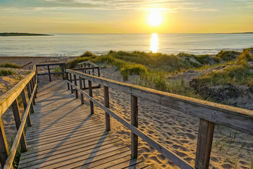 Fototapeta na wymiar Wooden path at Baltic sea over sand dunes with ocean view, sunset summer evening
