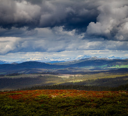 Rondane National Park in Oppland in Norway