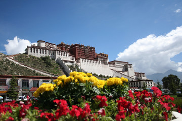 Fototapeta na wymiar Potala palast in Lhasa Tibet