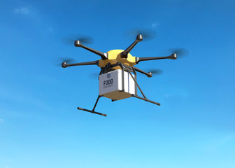 Food delivery drone concept