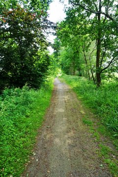 Hohlweg