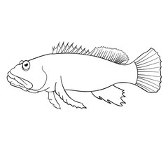 Coloring book for children harlequin