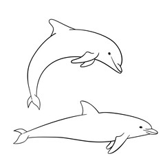 Coloring book for children, dolphin © petrrgoskov