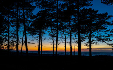 Evening at the Baltic Sea