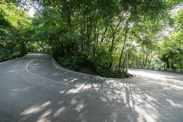 Obraz premium Cars pass through the forest from asphalt road