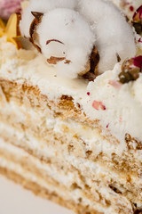 Half a cake. Close-up of a cut cake with visible layers and filling. onditer holds the cake in his hands.