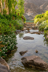 Garden around the water spring at Al Rafisha Dam, Khor Fakkan