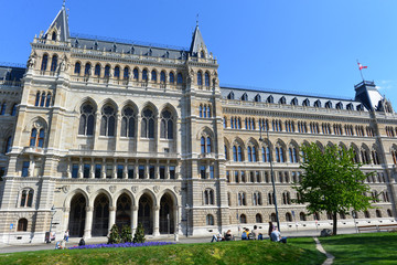 Fototapeta premium Wiener Rathaus