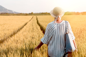 Naklejka na ściany i meble Woman walks through wheat field, woman walks through agricultural field, harvest time coming