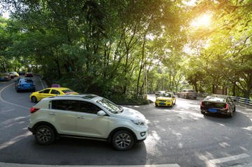 Fototapeta na wymiar Cars pass through the forest from asphalt road