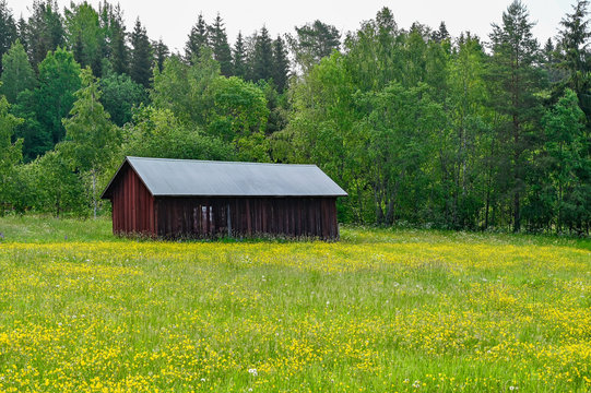 old red barn standing on a field of yellow flowers