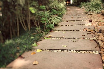 Stone walkway in the park