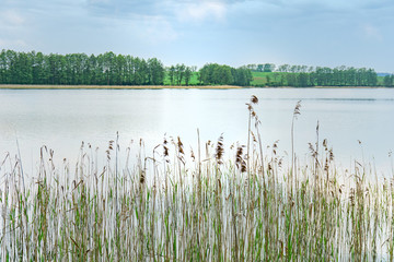 Beautiful view of the lake, sky, trees and water grass. Spring, Mazury, Poland.